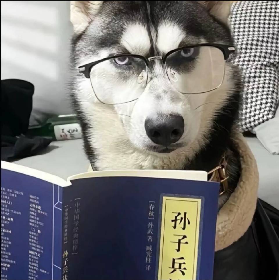 hongzh0 的个人照片